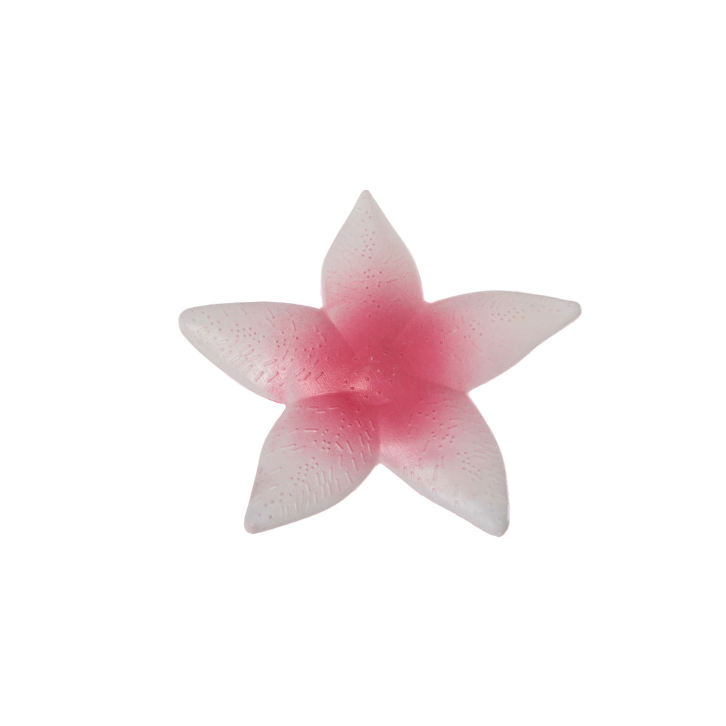 Plastic Starfish
