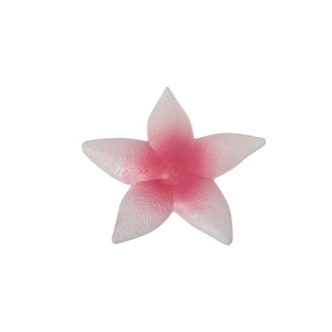 Plastic Starfish