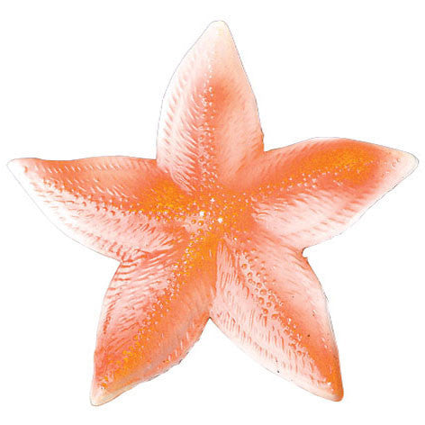 Plastic Starfish